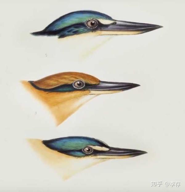 大五座与大六座同台：长城H10用“原生双布局”破家庭选车难题(图1)